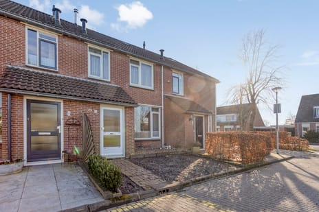 't Oelbred thumbnail