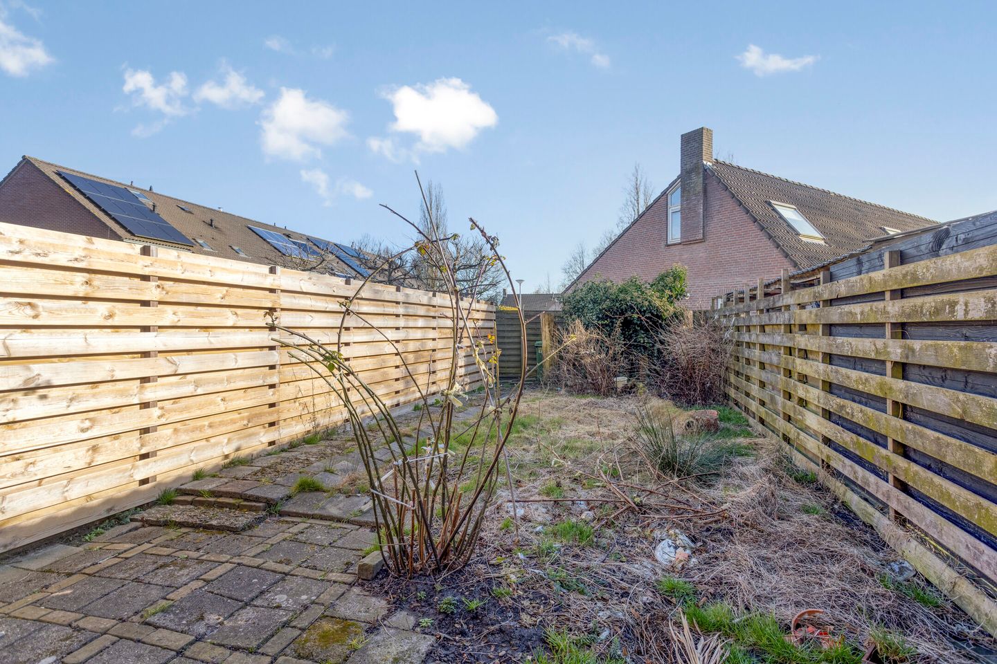 Foto 4 van 't Oelbred 3