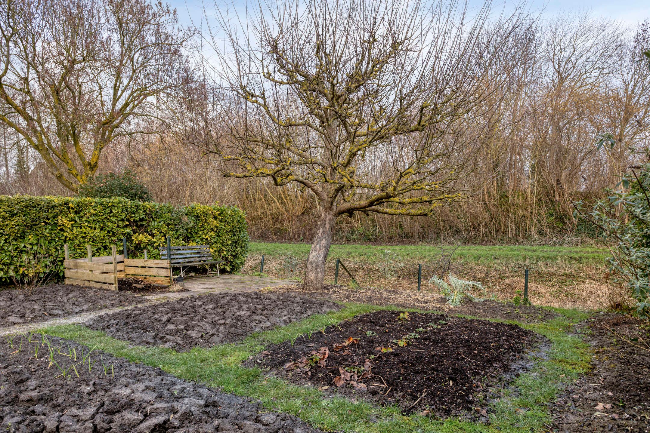 Foto 57 van Westpoort 17