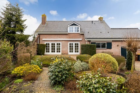 Dorp 223 secondary image