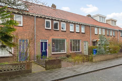 Zonnebloemstraat thumbnail