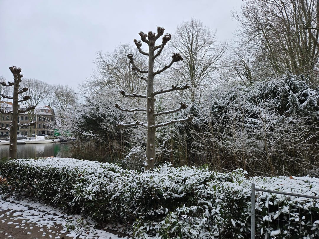 Foto 52 van Baandervesting 81