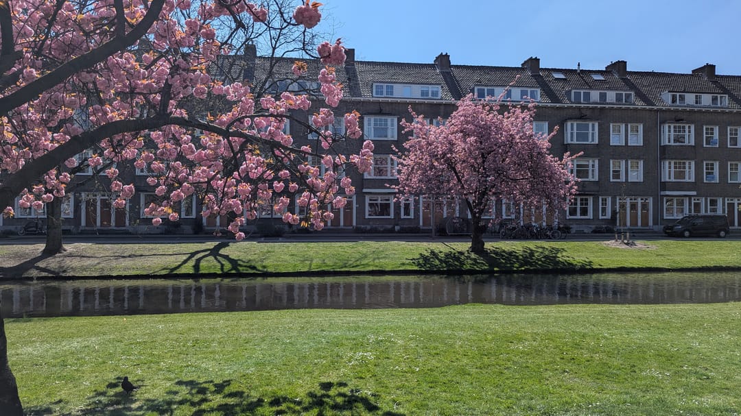 Photo 46 of Nolensstraat 25-B01