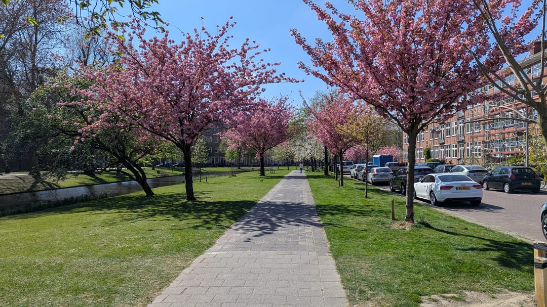 Photo 47 of Nolensstraat 25-B01