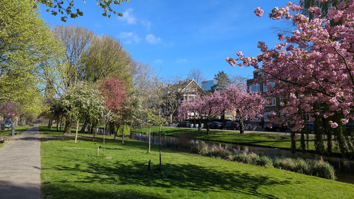 Photo 49 of Nolensstraat 25-B01