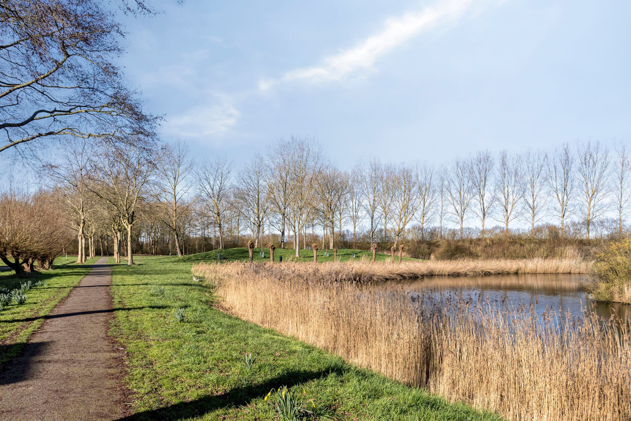 Foto 24 van De Gasperistraat 22