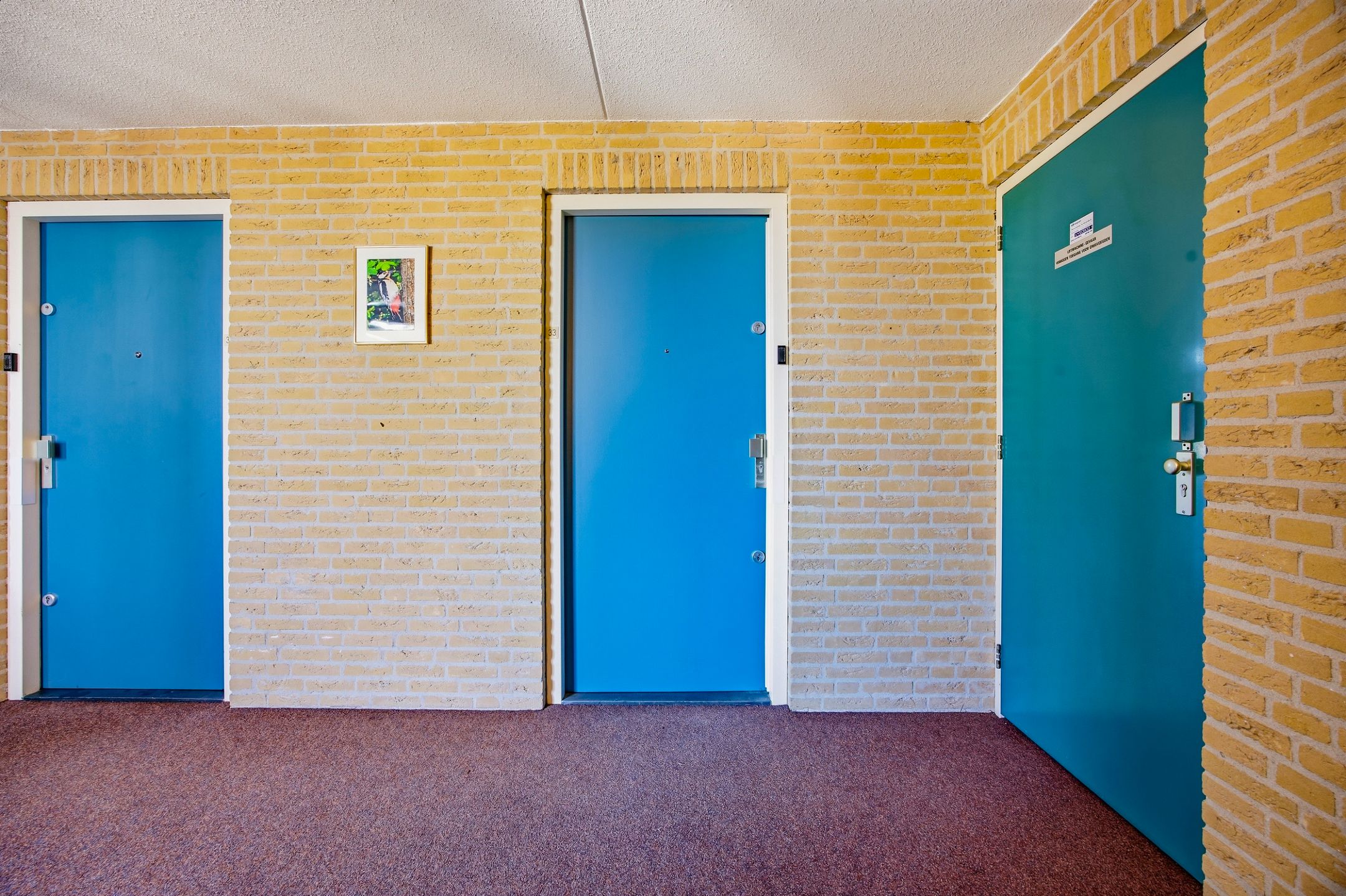 Foto 9 van Vondelinghof 33