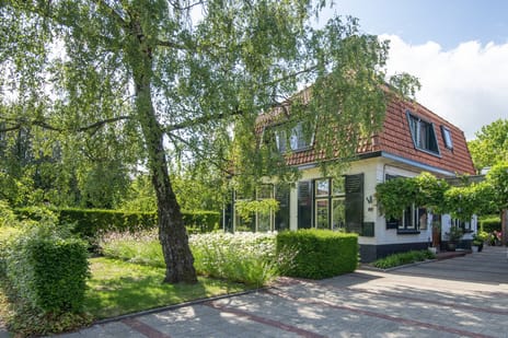 Koninginnelaan thumbnail
