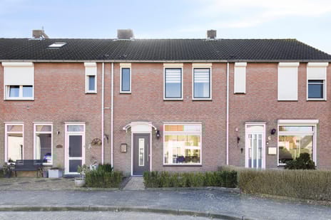 undefined main image