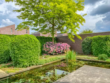 Wulp 14 tertiary image