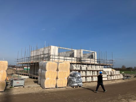 Holstein-Friesian 24 secondary image