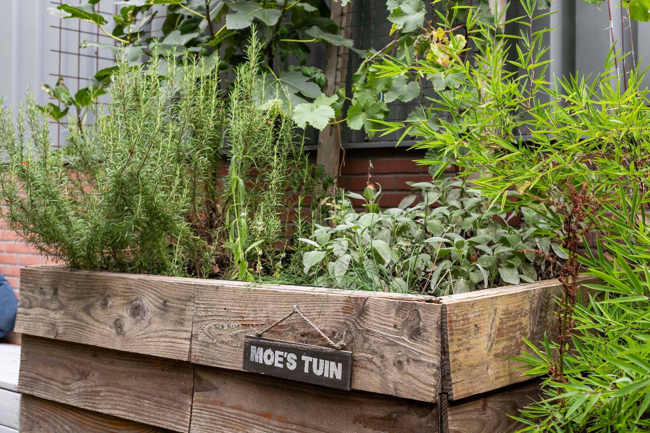 Photo 48 of Veldhuisstraat 24