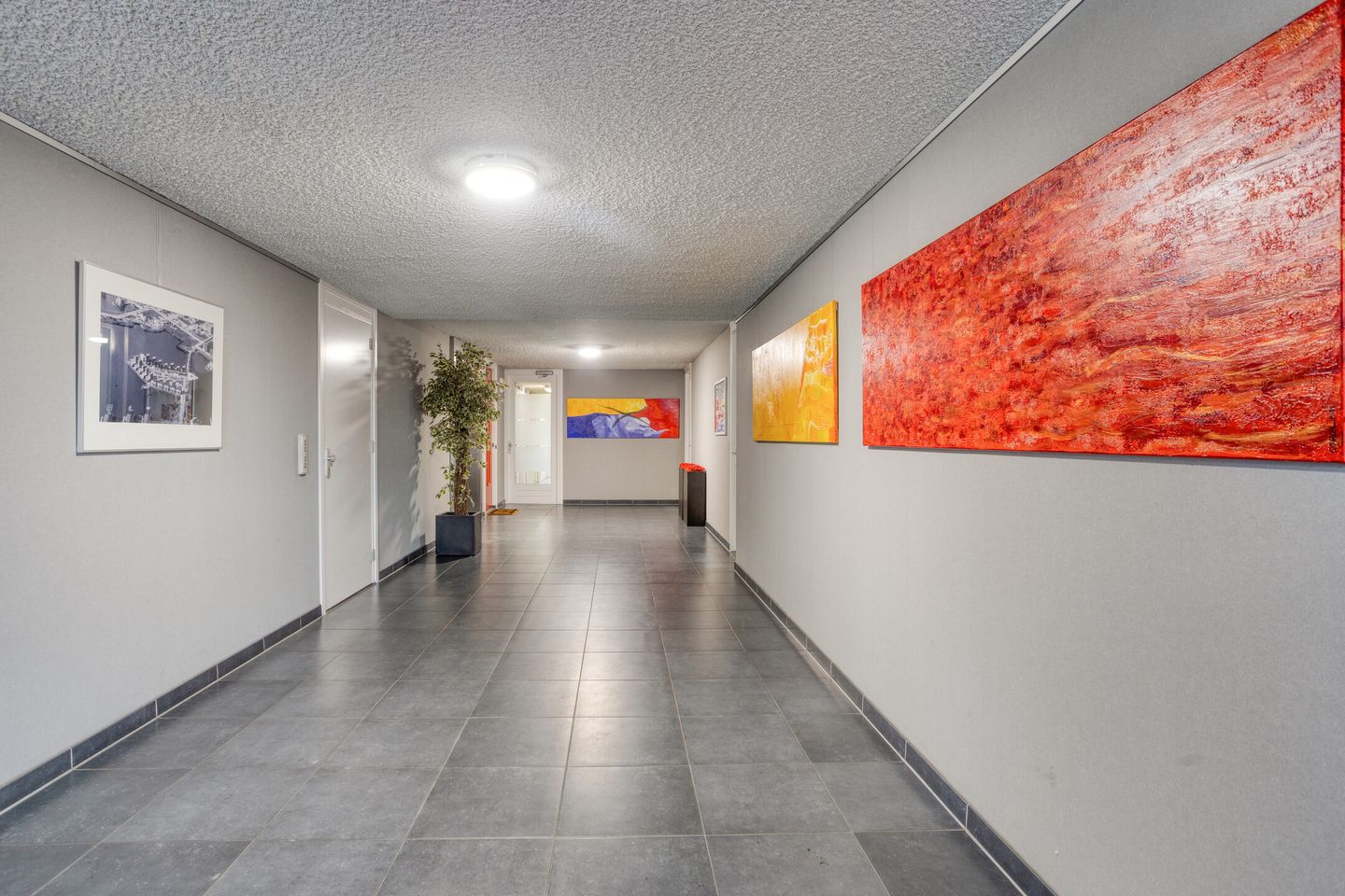 Photo 20 of Bastion 4