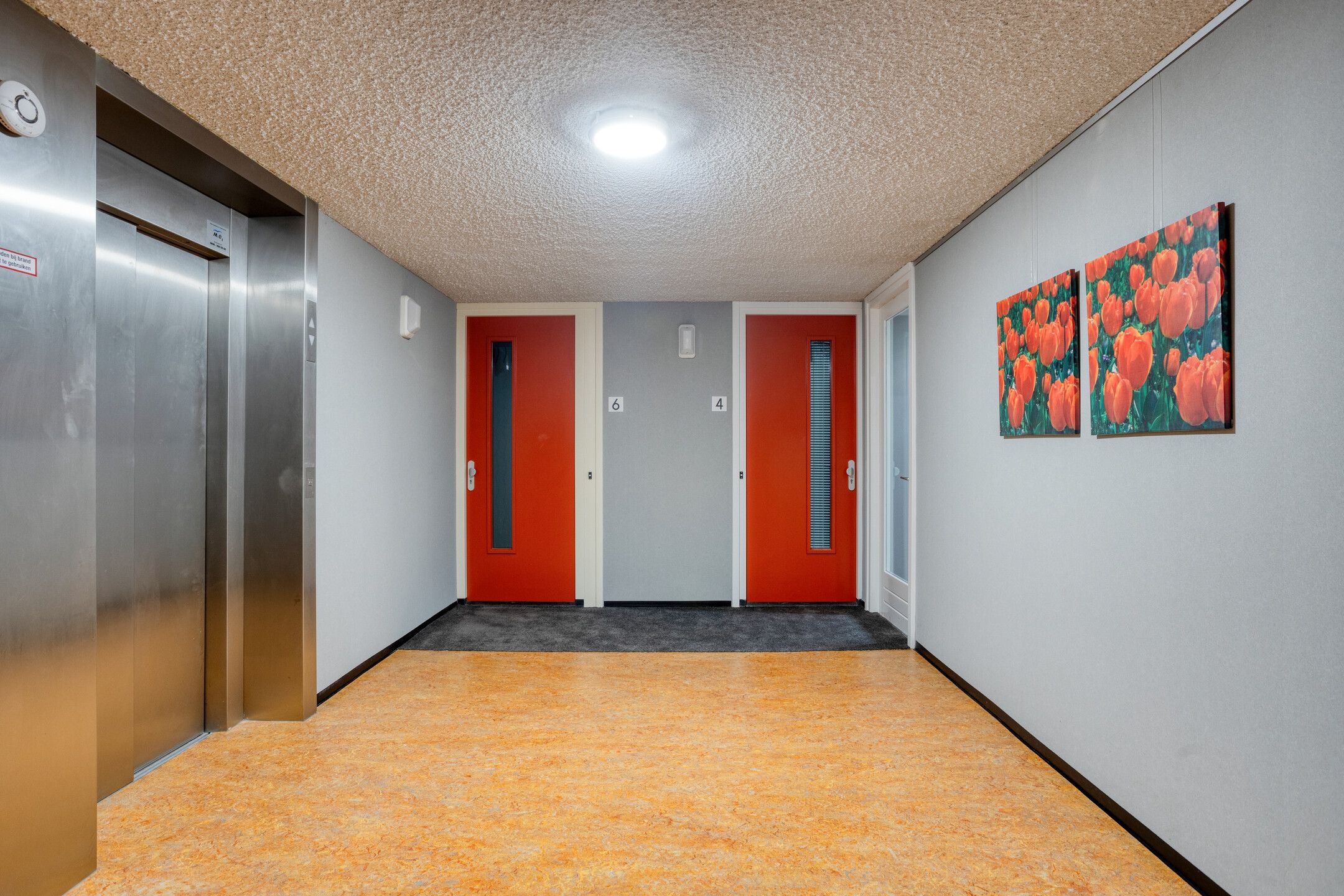 Photo 21 of Bastion 4