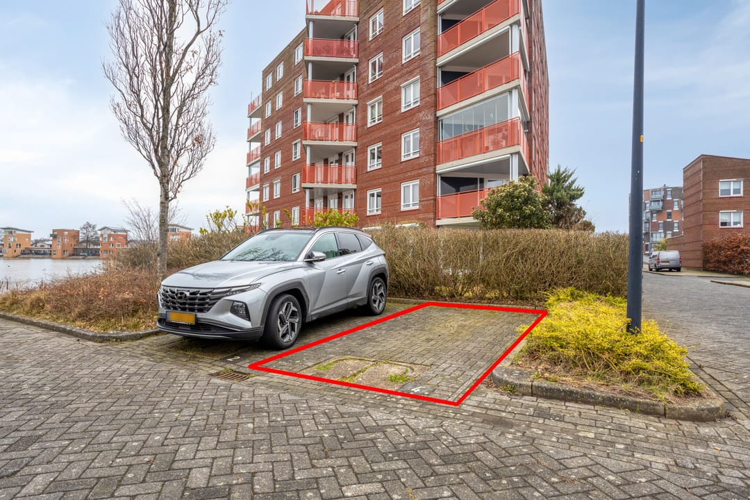 Photo 22 of Bastion 4