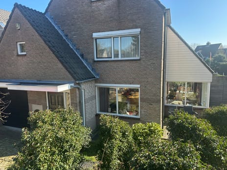 undefined main image