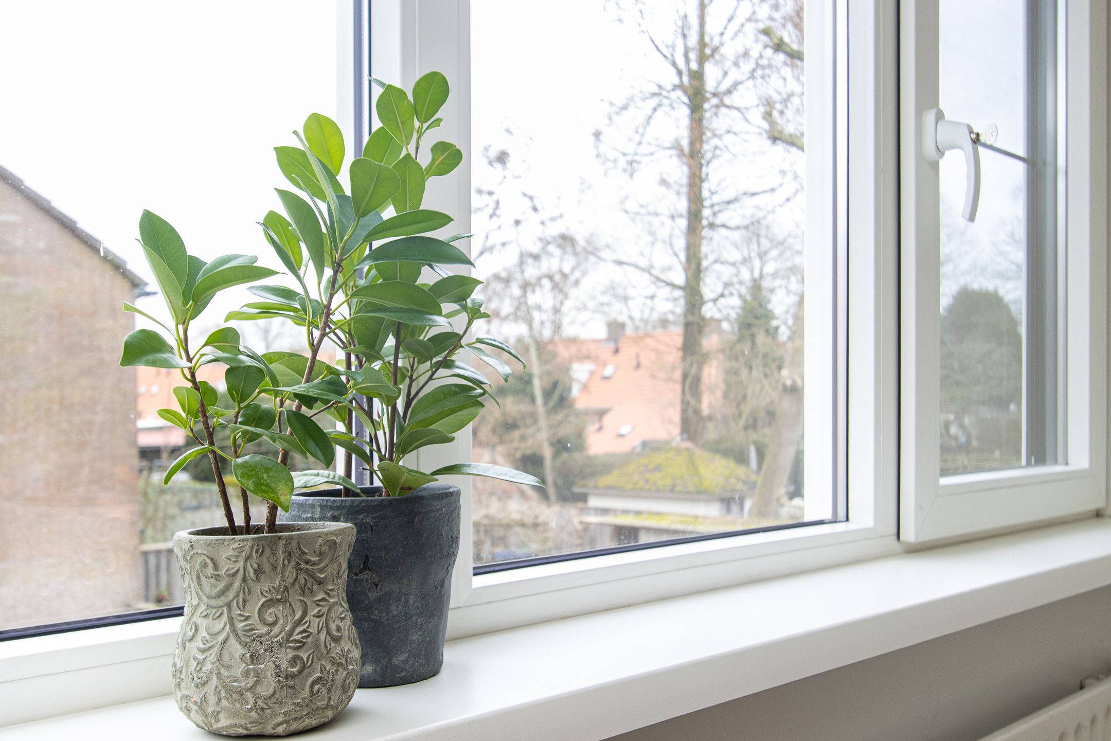 Foto 30 van Tienhont 10