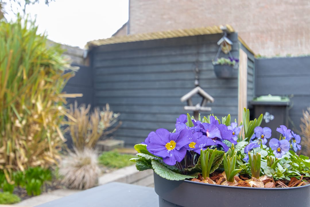 Foto 47 van Tienhont 10