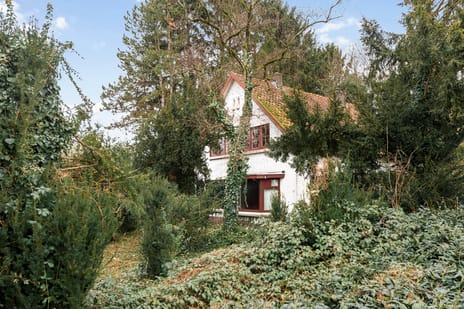 undefined main image