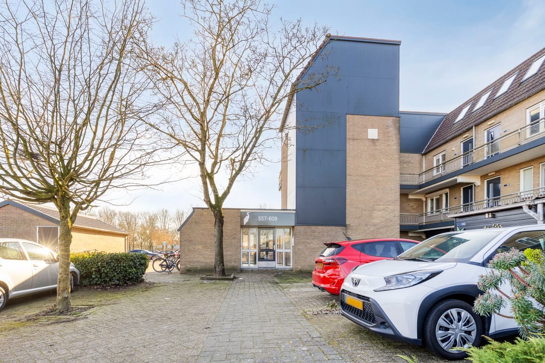 Photo 23 of Reigerskamp 565