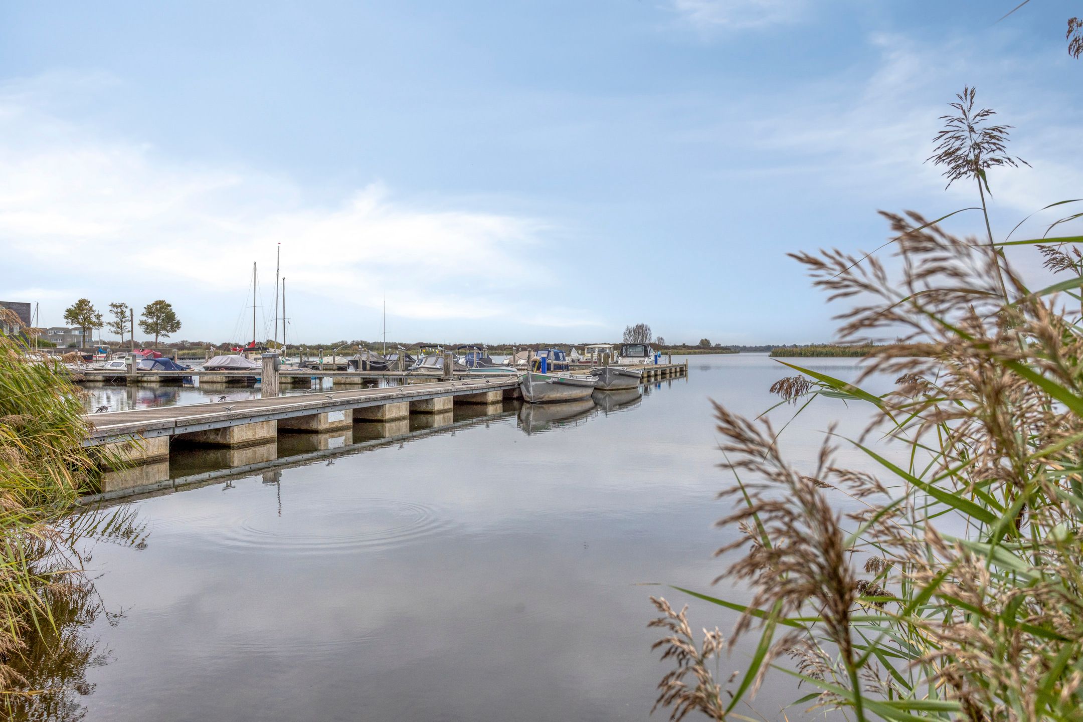 Photo 24 of Wimpelplantsoen 203