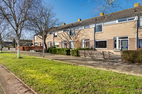 van Ostadestraat thumbnail