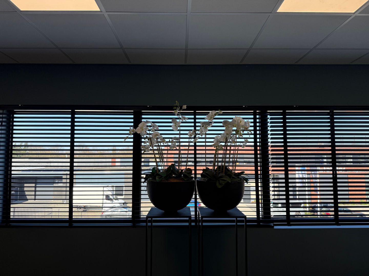 Bekijk foto 5 van Binnenweg 6