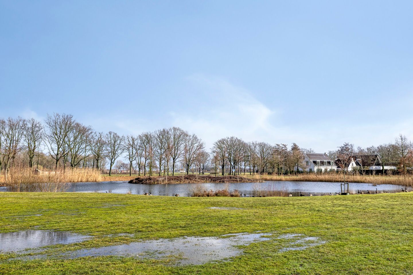 Foto 25 van Kapitein De Haasstraat 5