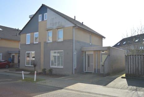 undefined main image