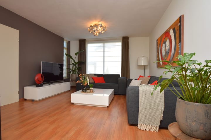 Photo 2 of Paardebloem 2