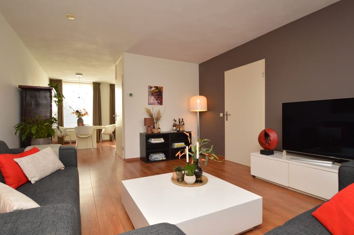 Photo 4 of Paardebloem 2