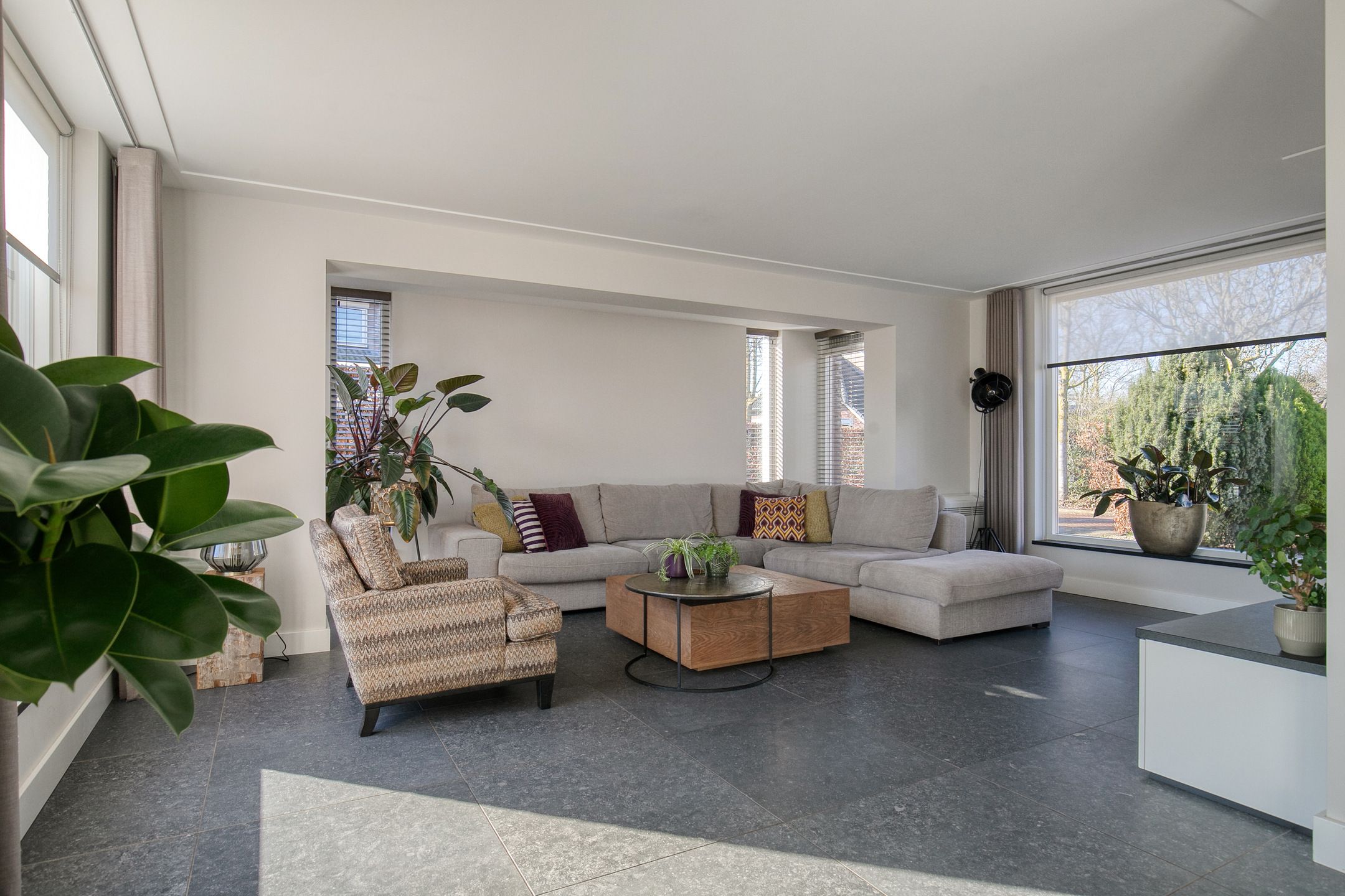 Foto 6 van Walter Pompelaantje 2