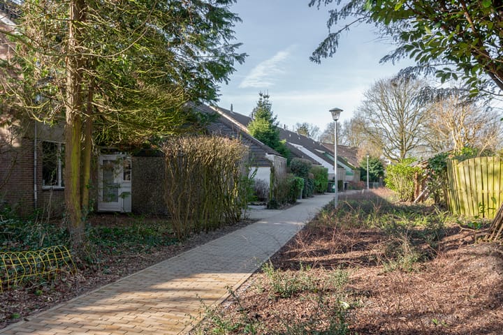 Foto 2 van Korbeel 26