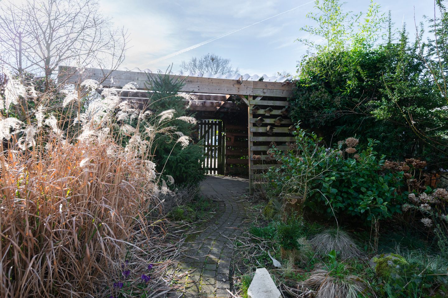 Photo 40 of Korbeel 26