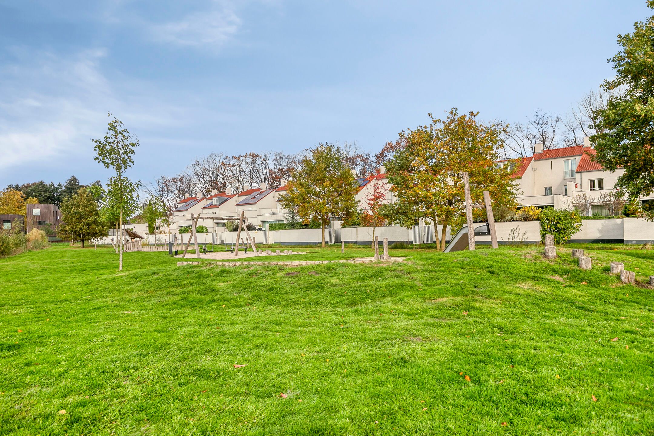 Foto 3 van Bosleeuwerik 50