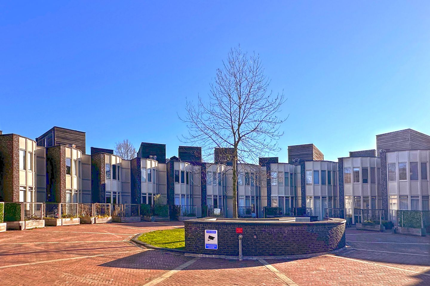 Foto 4 van Bosleeuwerik 50