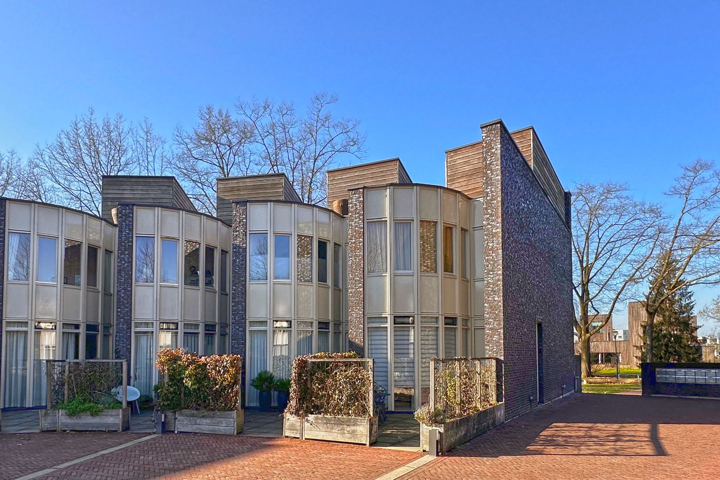 Foto 5 van Bosleeuwerik 50