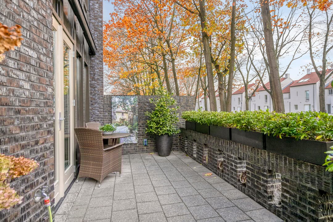 Foto 11 van Bosleeuwerik 50