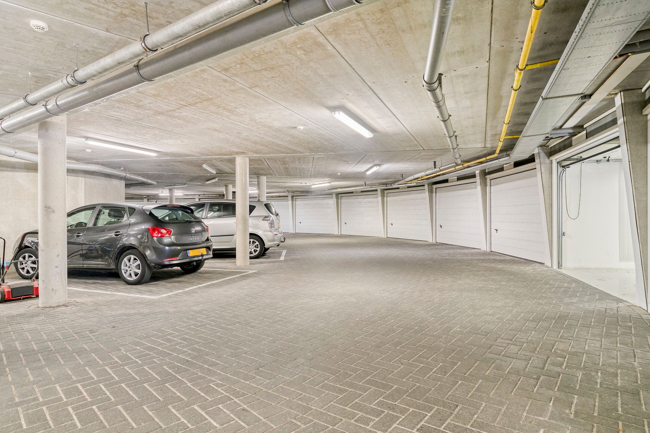 Foto 27 van Bosleeuwerik 50