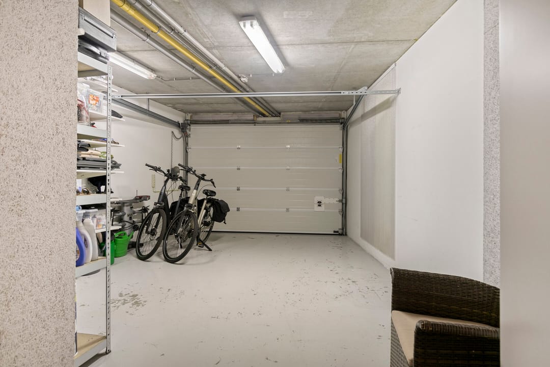 Foto 26 van Bosleeuwerik 50