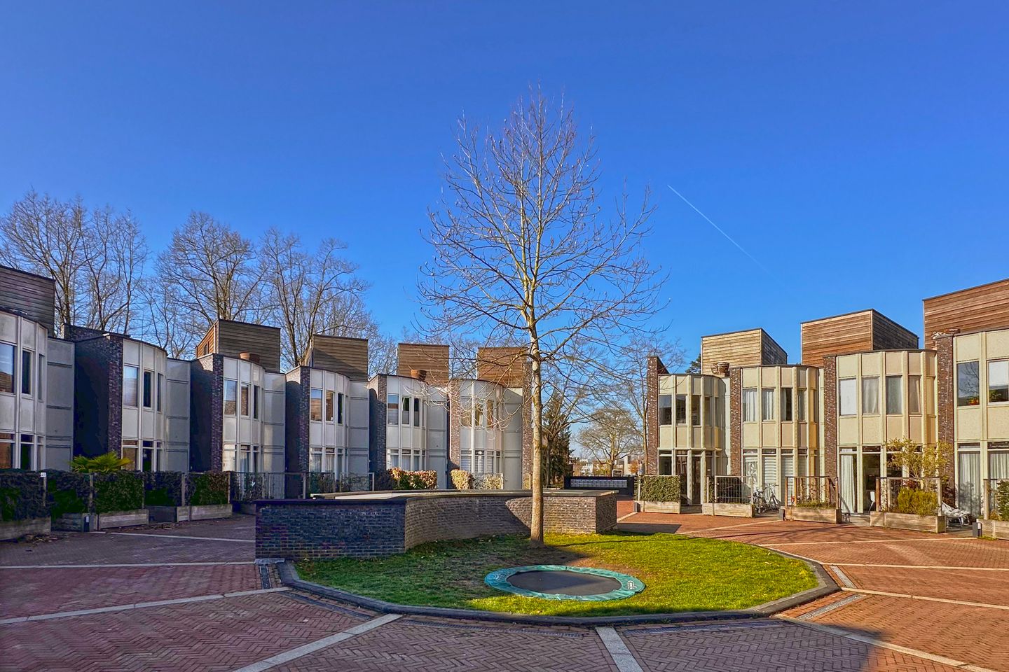 Foto 29 van Bosleeuwerik 50