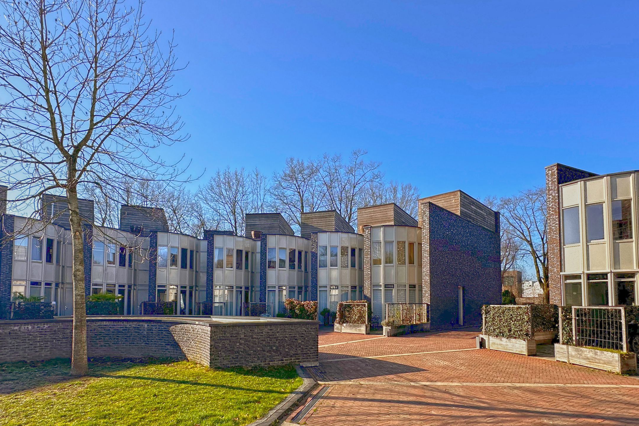 Foto 30 van Bosleeuwerik 50