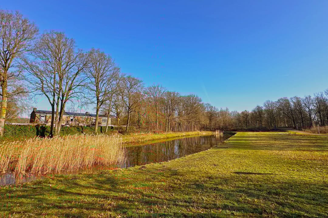 Foto 32 van Bosleeuwerik 50