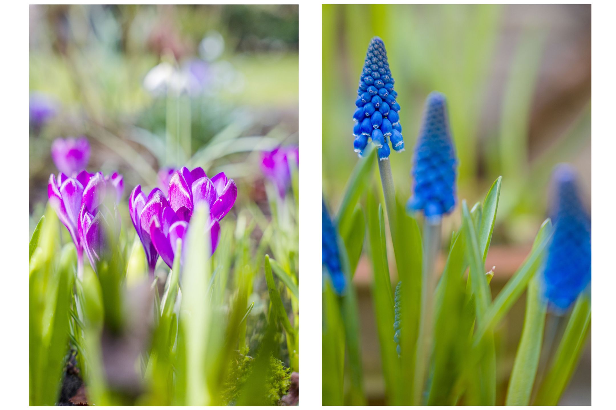 Foto 39 van Prinses Beatrixlaan 26