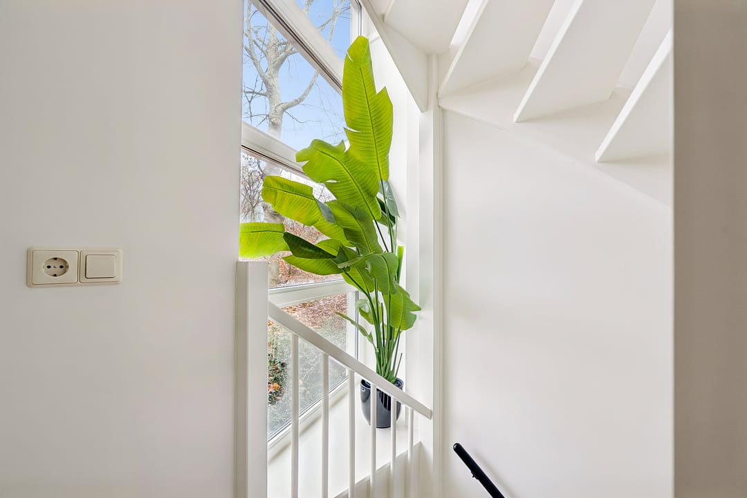 Foto 26 van Jan van Eyckstraat 9