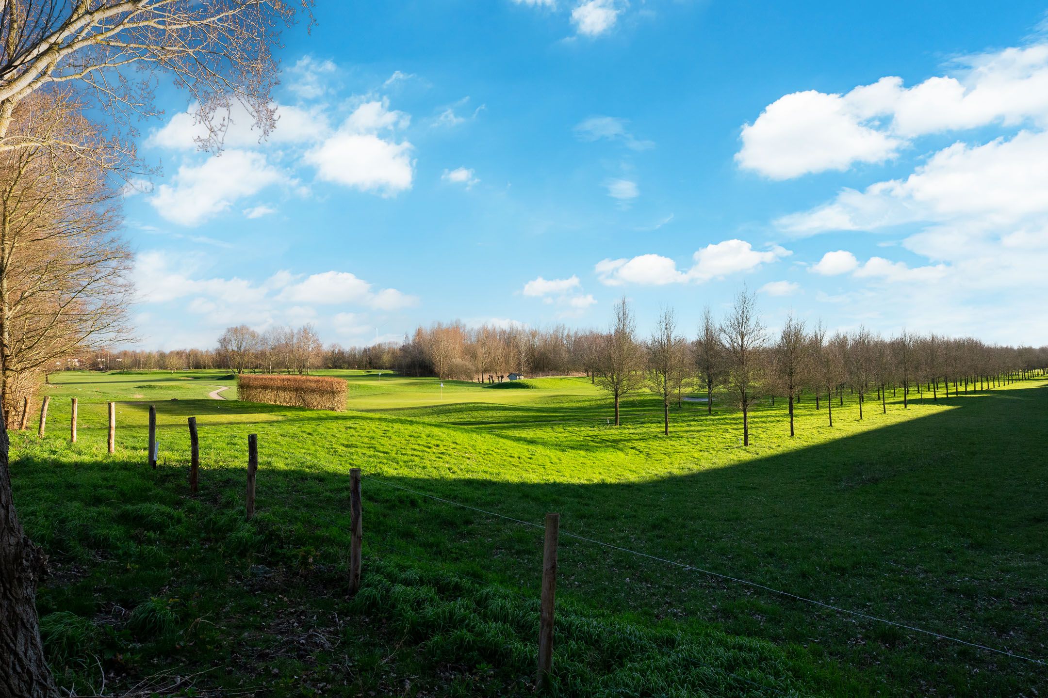 Photo 33 of Parcivalring 223