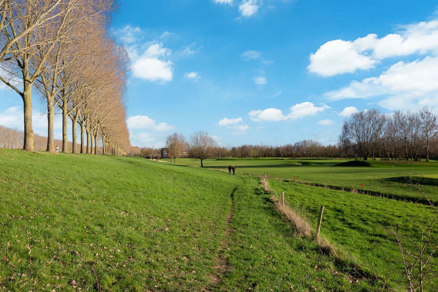 Photo 35 of Parcivalring 223