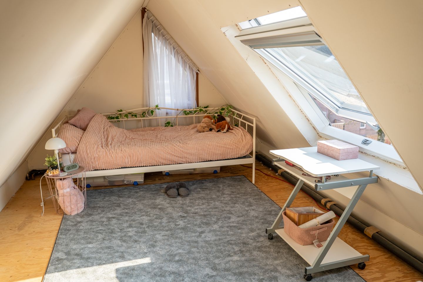 Foto 20 van Guldenroede 3