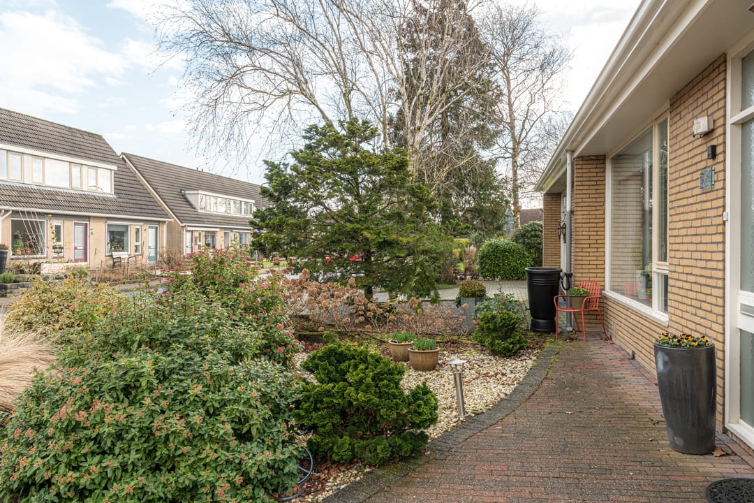 Foto 8 van Paulus Folkertsma Herne 19