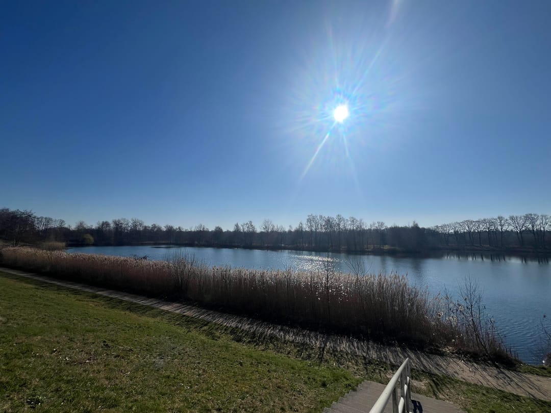 Foto 47 van Dwalin 8